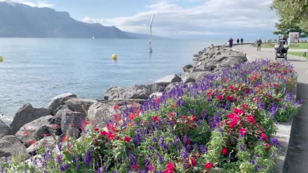 Vevey Švýcarsko Října 2020 Lidé Kráčející Okraji Ženevského Jezera Vevey — Stock video