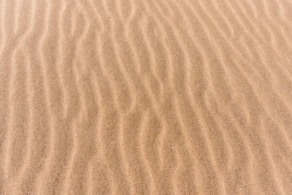 Close up of beach sand texture, background.