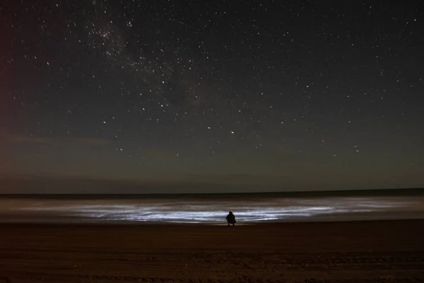 Photograph of a man by the sea in Buenos Aires, Argentina looking at the Orions Belt.