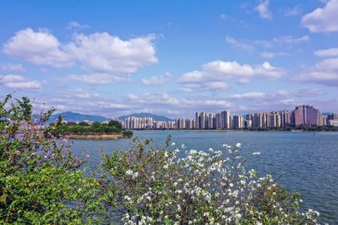 Güneşli Hava Nehir Şehir Manzarası