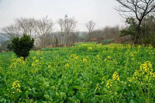 Landelijk Landschap Hunan China — Stockfoto