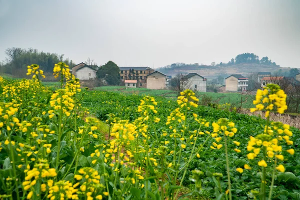 Krajobraz Wiejski Hunan Chiny — Zdjęcie stockowe