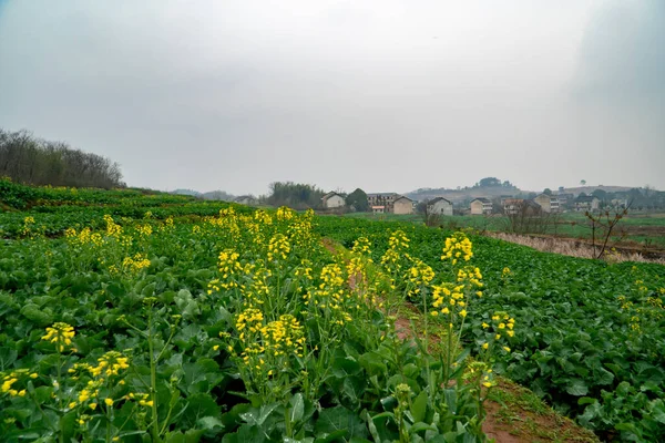 Landelijk Landschap Hunan China — Stockfoto
