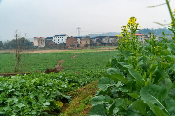 Landelijk Landschap Hunan China — Stockfoto