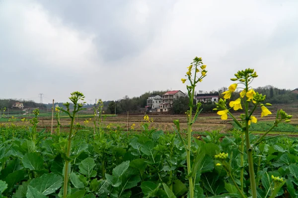 Landelijk Landschap Hunan China — Stockfoto