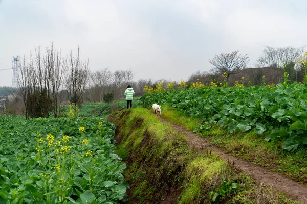 Landelijk Landschap Hunan China — Stockfoto