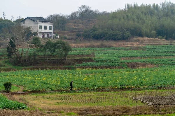 Paisagem Rural Hunan China — Fotografia de Stock