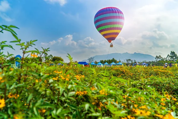 Njuter Blommor Och Landskap Varmluftsballonger — Stockfoto