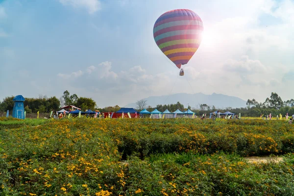 Blumen Und Landschaft Heißluftballons Genießen — Stockfoto