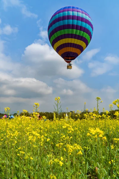 Blumen Und Landschaft Heißluftballons Genießen — Stockfoto