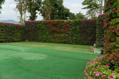 Baharda bahçede çiçek süslemesi