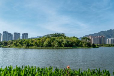 Wetland Park Bahar Gölü Manzarası