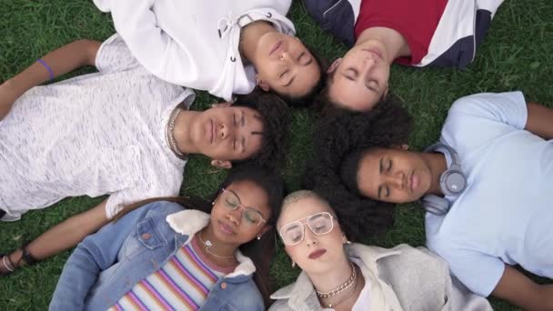 Relaxed teenager friends lying together on green grass with eyes closed, dreaming and sleeping. Group of young multi ethnic people — Stock Video