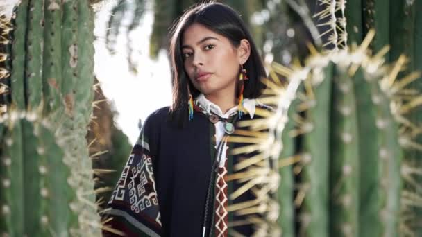 Portrett av indianerkvinne i ørkenen. Pen jente med etniske tradisjonelle klær bak kaktus – stockvideo