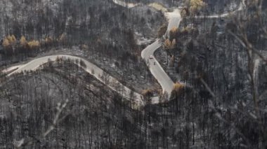 Dağ yolu orman yangınları ile çevrili - felaket iklim değişikliği sorunu