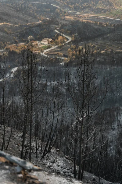 Farm saved from bush fire - Countryside House surrounded by burnt forest after big mountain wildfire