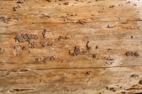 stock image Wood texture. The texture of the wood grain in the cut. Background image of a tree structure. brown wooden texture may used as background