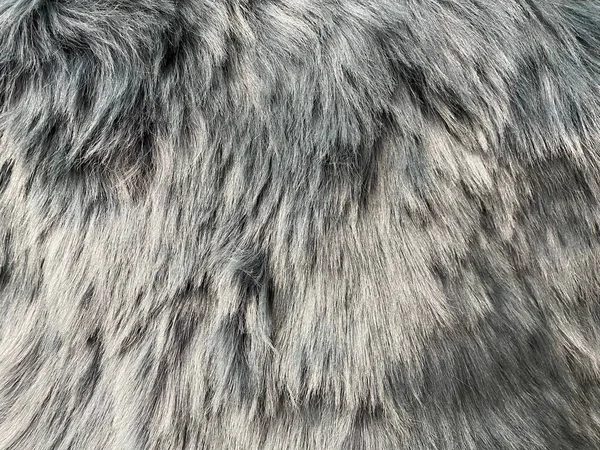 Естественный Мех Длинные Волосы Меха Фона Текстуры Текстура Пушистого Меха — стоковое фото