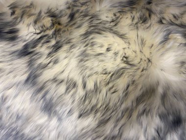 Doğal kürk. Arka plan ya da doku için uzun saç kürkü. Tasarımcılar için tüylü kürk dokusu. Yün parçalarını yakın çekim. Yün dokusu. Doğal koyun derisi halı arka planı.