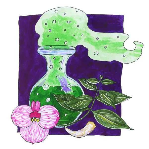 Witch potion flask full of green elixir with bubbles and smoke, magic plant and flower, fang or tooth as element of chemical medicine. Watercolor hand-drawn illustration, composition in violet square — Stock Vector