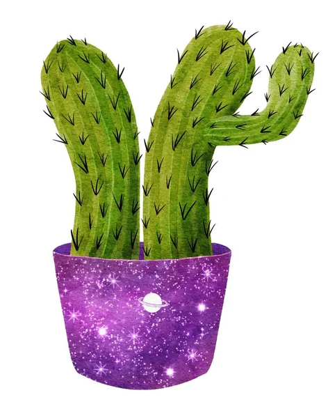 Hemelse cactus clip art illustratie in bloempot met sterren en kosmos patroon. Heldere aquarel sappig geïsoleerd op wit. Handgetekende stekelige tuinplant voor mystiek astrologisch ontwerp. — Stockfoto