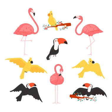 Egzotik tropikal kuşlar düz logo simgeleri. Tukan, papağan, papağan ve flamingo renginde vektör renkli kuşlar. İzole tasarım elemanları ve arkaplanlar.