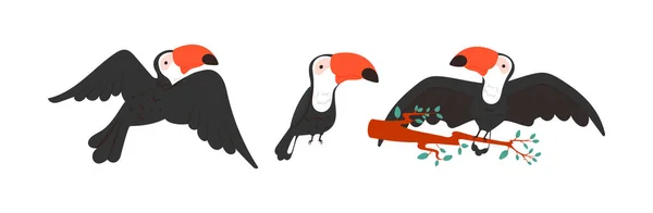 Conjunto selvagem de pássaros tropicais coloridos. Ícones tucano engraçado isolado com padrão de arte popular . — Vetor de Stock