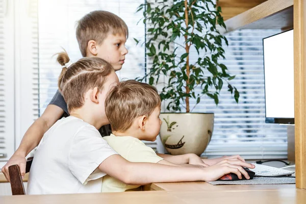 若いです男の子座っています椅子に木製のコンピュータ机を見ますホワイトモニター近く緑のポット植物滞在家に隔離 — ストック写真