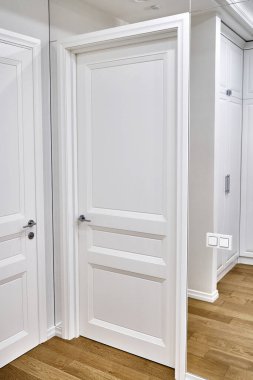 Klasik kapalı beyaz kapı ve lüks dairenin geniş dekoratif odasındaki mükemmel temiz aynalı duvardaki ışık düğmeleri.