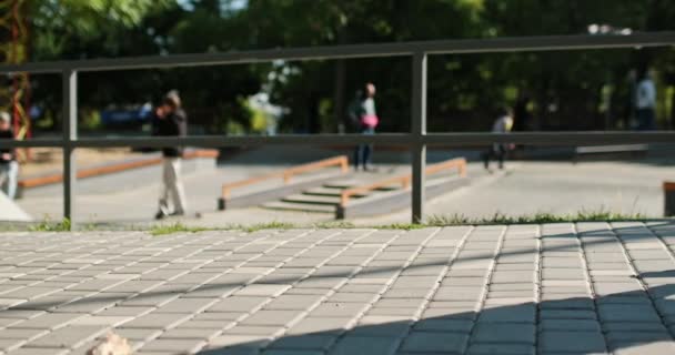 Junge Frau skatet auf Penny-Board auf gepflasterter Parkstraße — Stockvideo