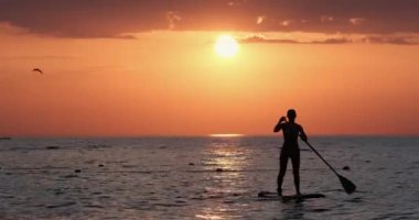 Leydi Siluet gün batımında kürek çekerek yüzer.