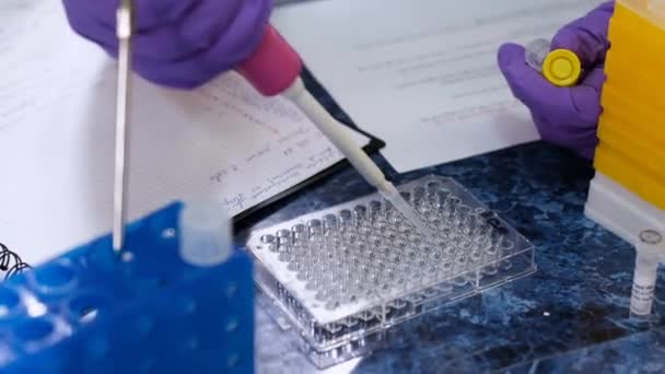 Assistant met des échantillons liquides dans la plaque de puits profonde dans le laboratoire — Video