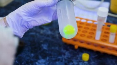 Bilim adamlarının elinde sarı kimyasal sıvı içeren cam eşyalar var.