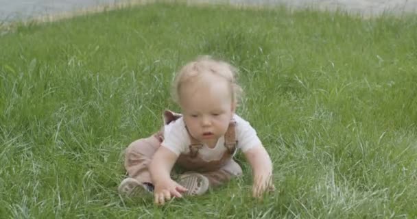 Adorable Baby Boy Crawls Green Grass Park Warm Summer Day — Stockvideo
