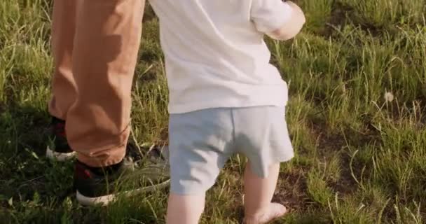 Father Walks Grass Field Barefoot Toddler Son Warm Summer Day — 图库视频影像
