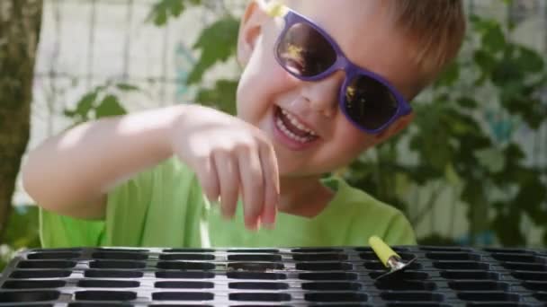 Cheerful Boy Gardener Sunglasses Takes Scapula Press Soil Covering Seeds — Stockvideo