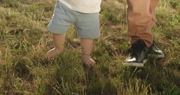 Barefoot Toddler Learns Walk Outdoors Grass Meadow Father Caring Parent — ストック動画