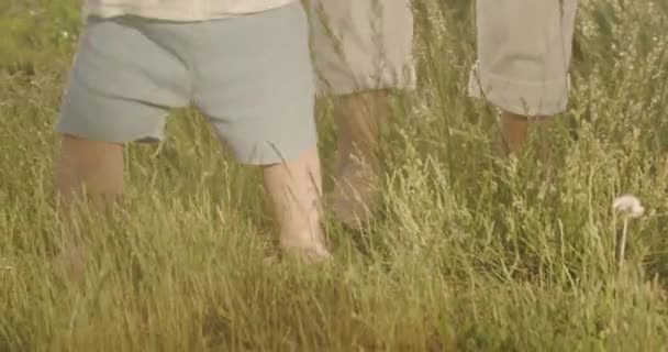 Little Barefoot Boy Walks Field Mother Warm Summer Day Blond — ストック動画