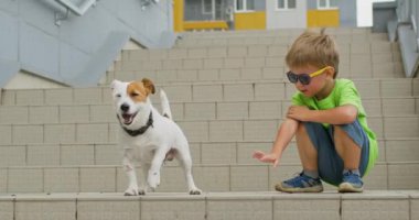 Happy child wearing bright sunglasses squats on street stairs. Preschooler talks and wants to play with domestic pet. Dog starts barking