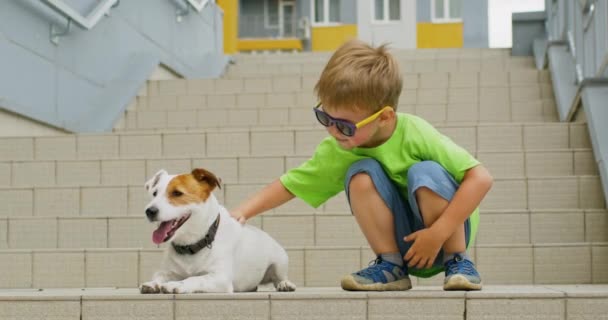 Preschooler Boy Strokes Wanting Play Naughty Dog Animal Runs Child — 비디오