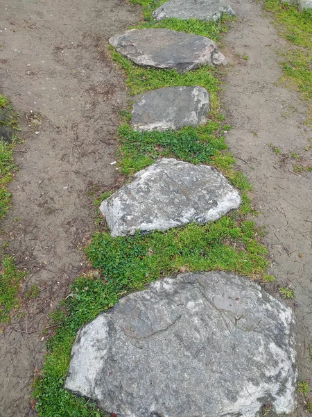 Stony Grassy Path New Ideas — Stockfoto