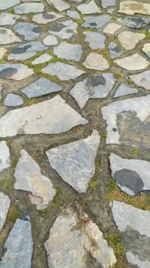Walking on the Rainy and Grassy Stone Road Video