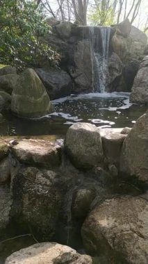 Waterfall on Park Relaxing Sound Nature Video
