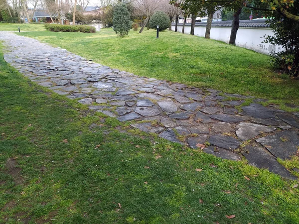 Beautiful Garden with Stone Road Natural Scene