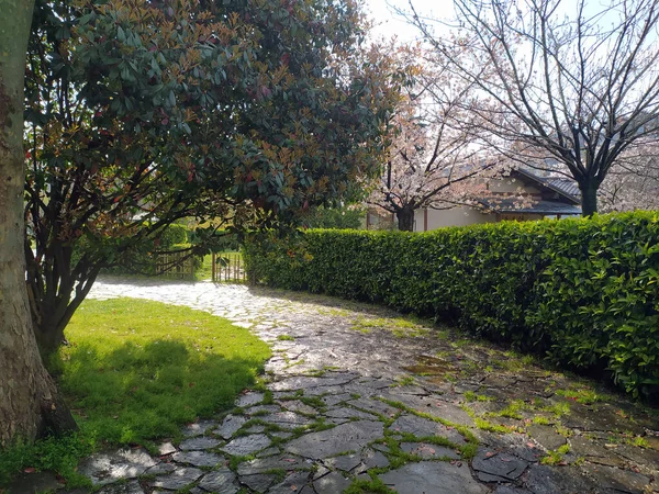 Curvy Road Garden Natural Scene — ストック写真