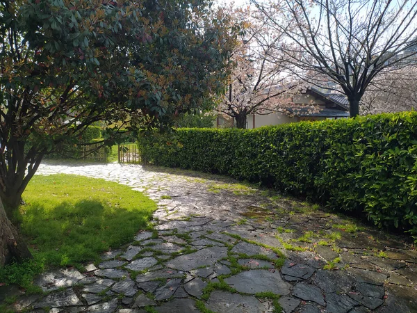 Curvy Road Garden Natural Scene — ストック写真