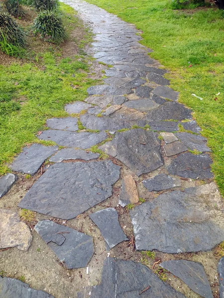 Curvy Road Garden Natural Scene — Stockfoto