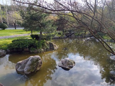 Small Lake in Japan Garden Rural Scene for Creative Ideas