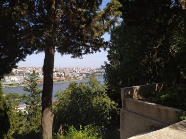 İstanbul Ağaç Arkası Görünümü