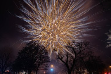 New Year Fireworks in Pruszcz Gdanski